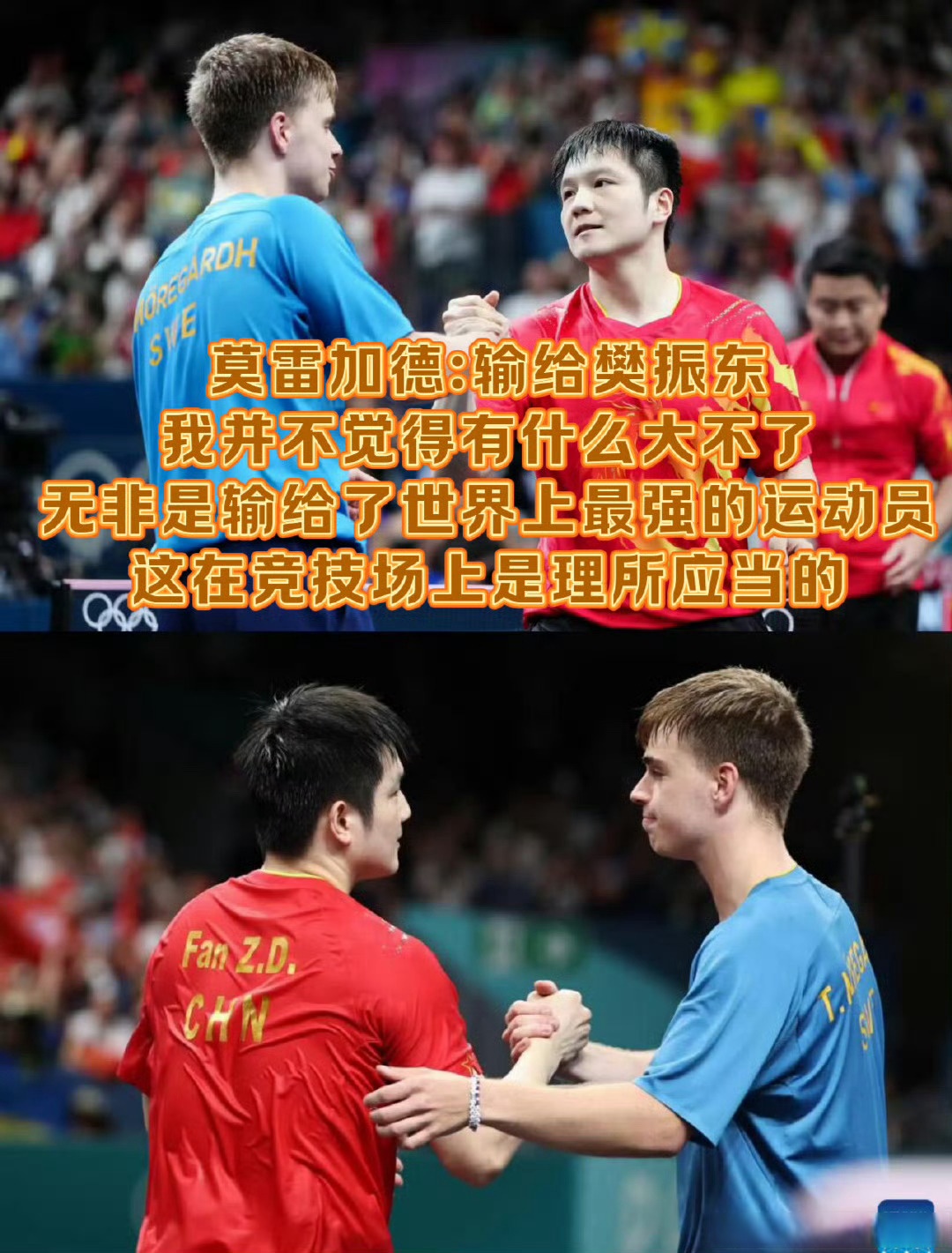 开云体育入口-韩国队绝杀英格兰队，樊振东统治全场