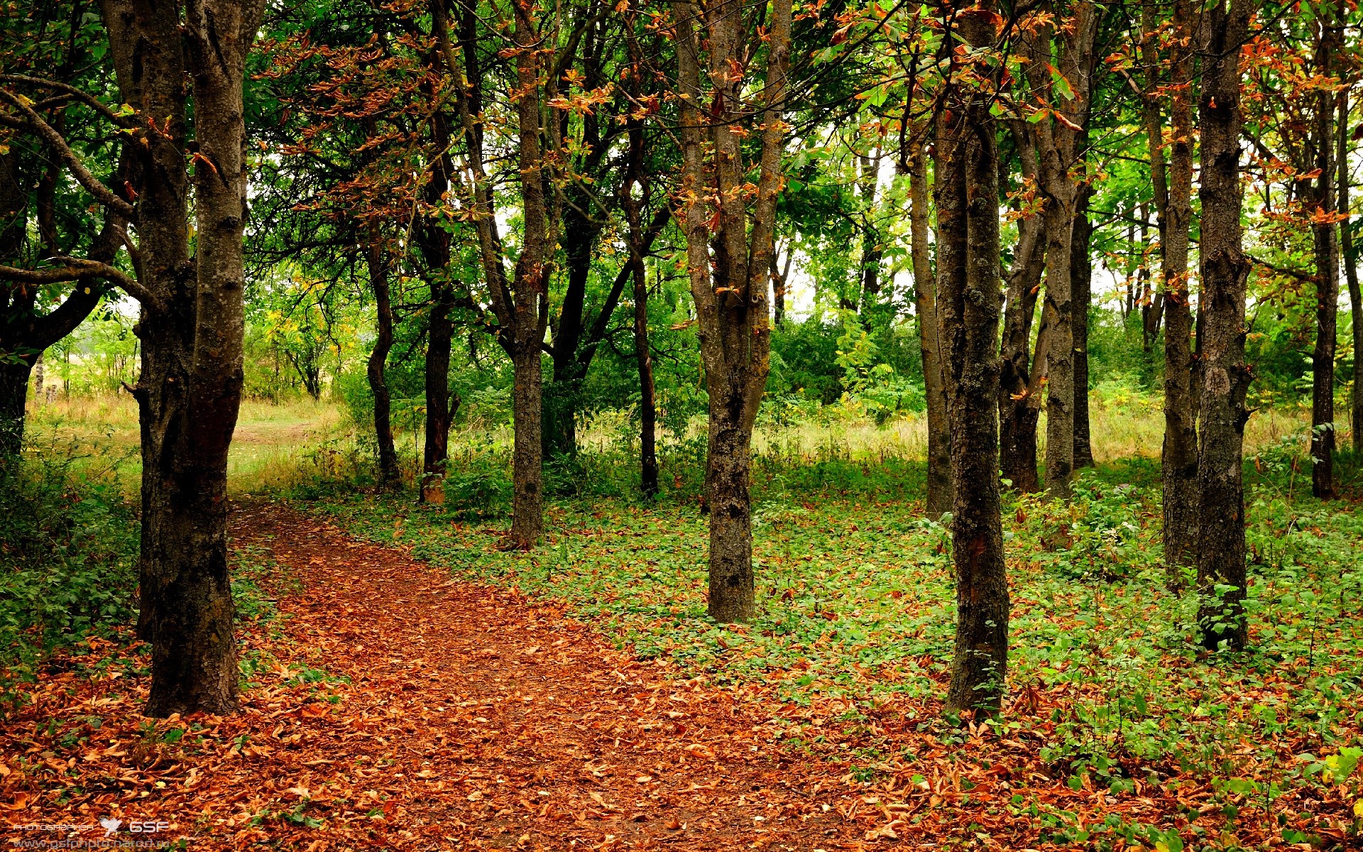 杜兰特末节接管比赛！森林狼力克爵士终结连败，死神镰刀再度出鞘