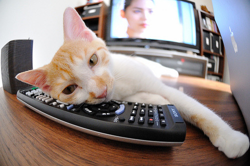 怒放与陨落，当努涅斯的爆发摔碎了乌拉圭的剧本，突尼斯写下坚韧的过关宣言